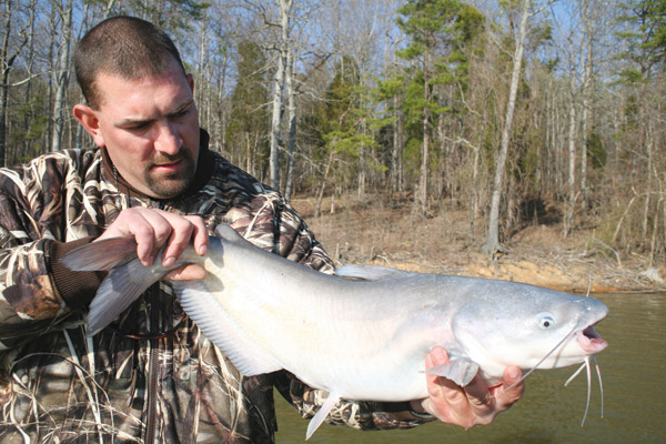 Fisherman with Blue Catfish