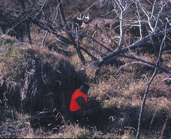 hunting whitetail deer during the rut