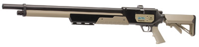 .357 benjamin rogue epcp