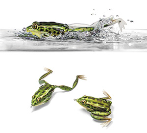 Lunkerhunt lunker frog