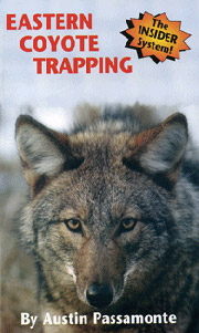 Eastern Coyote Trapping